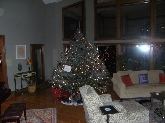 Holiday Parties — photo 34
